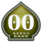 00 SEEDS FEMALE COLLECTION II (6 UNIDS)