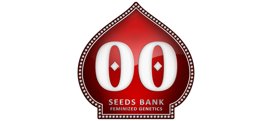 00 SEEDS FEMALE COLLECTION I (6 UNIDS)