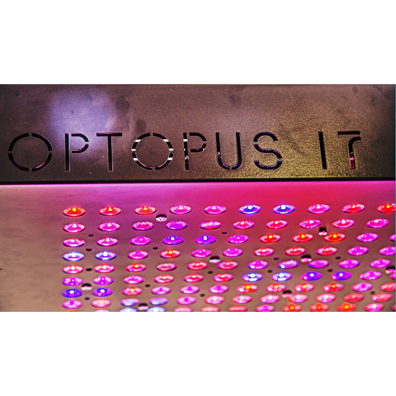 PANEL LED OPTOPUS V17